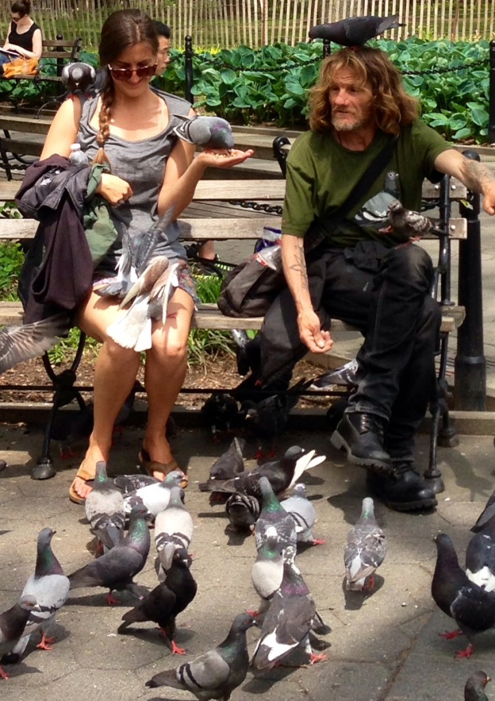 Birdman of Washington Square Park