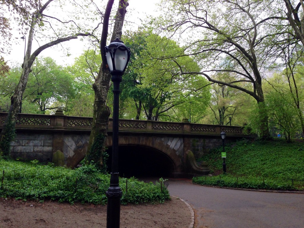 central park bridge