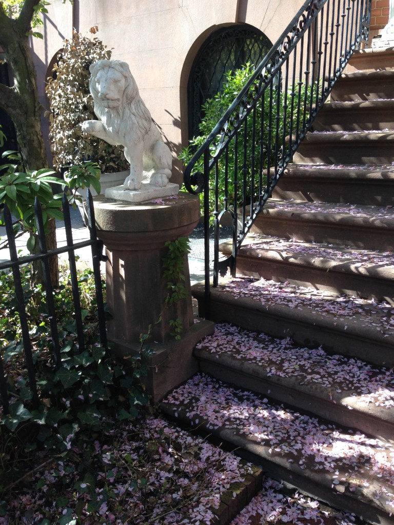 petals on steps