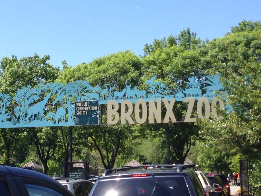 bronxzoo