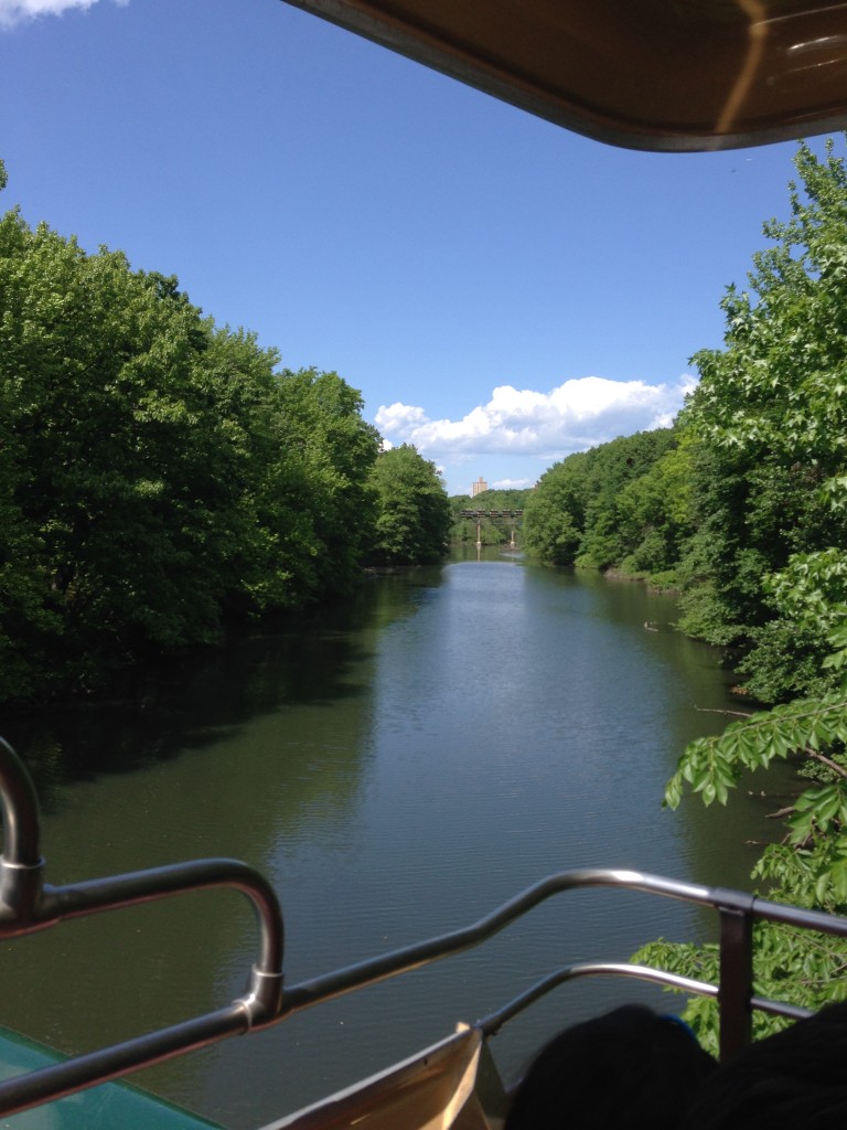 View from the Bronx Zoo tram. 