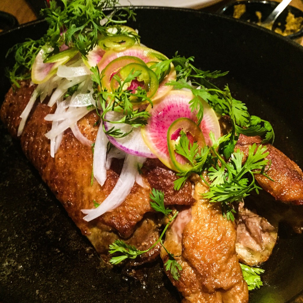 Duck Carnitas white onions, radishes, salsa verde (to share) - $49