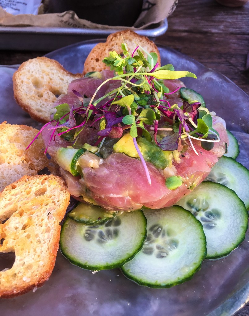 TUNA TARTARE $18 Avocado, Cucumber, Cilantro