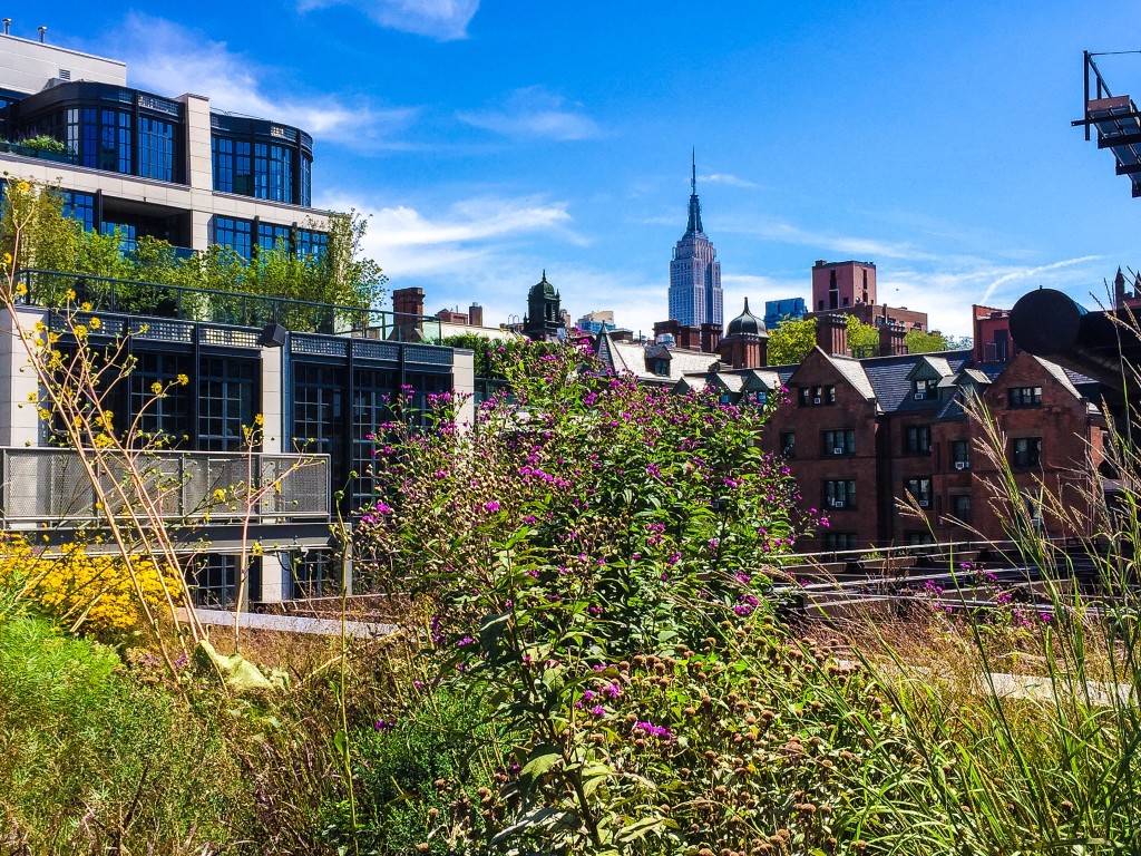 The High Line