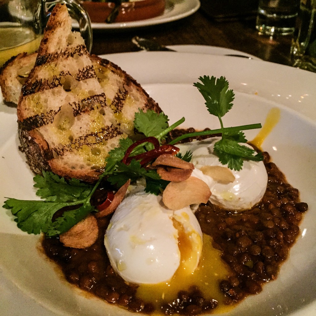 POACHED EGGS -  CURRIED LENTILS, YOGURT & CILANTRO - $15